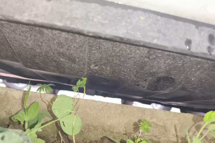 Used Kia K3 2016 1.6L Automatic GL Chassis Front