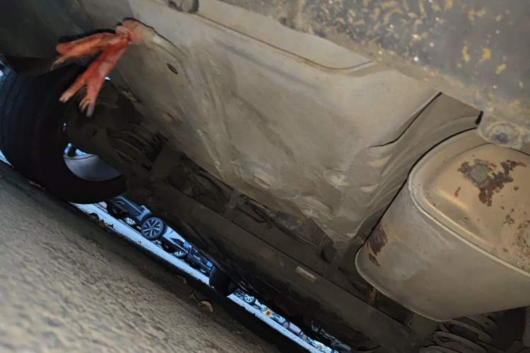 Used Kia K3 2016 1.6L Automatic GLS Chassis Rear Right