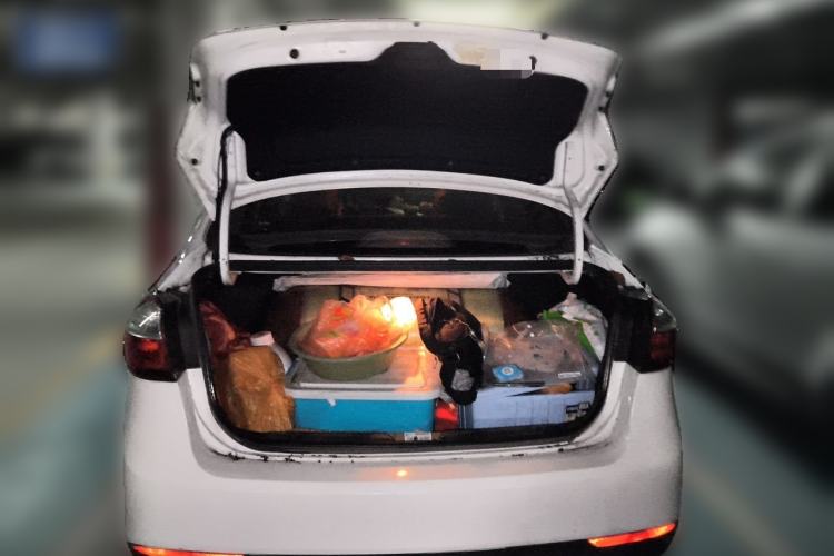 Used Kia K3 2016 1.6L Manual GL Trunk