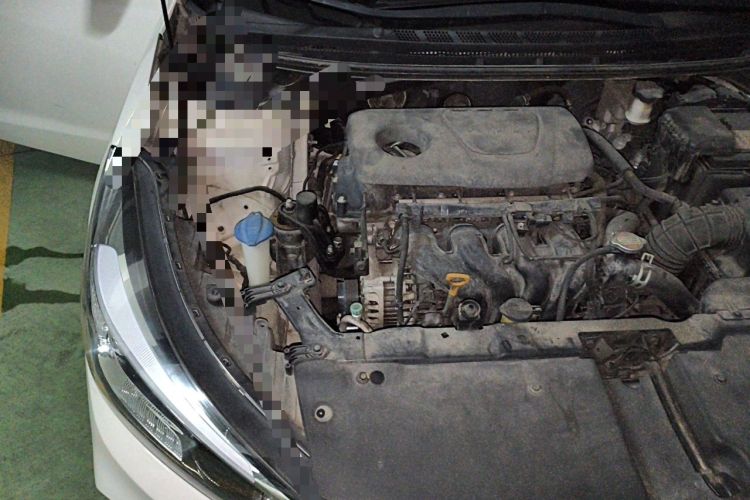 Used Kia K3 2017 1.6L Automatic 15th Anniversary Special Edition GLS Engine Bay Right