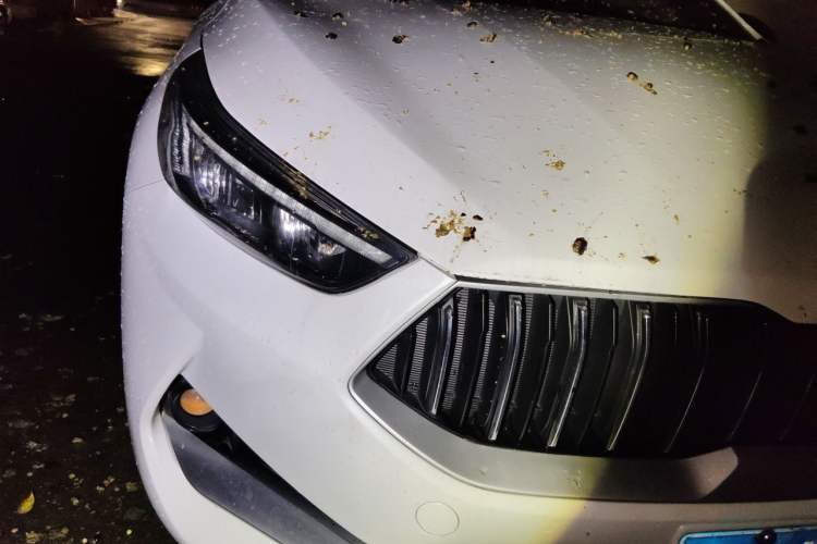 Used Kia K3 2019 1.4T DCT GT-Line New Edge Sport Edition Right Front Headlight