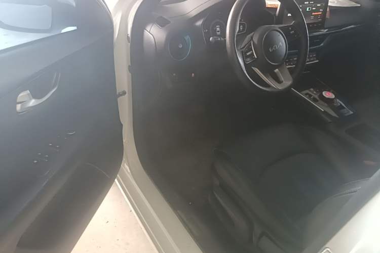 Used Kia K3 New Energy 2021 EV Comfort Edition 410km Driver Seat