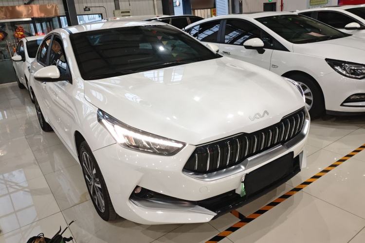Used Kia K3 New Energy 2021 EV Comfort Edition 410km Exterior 2