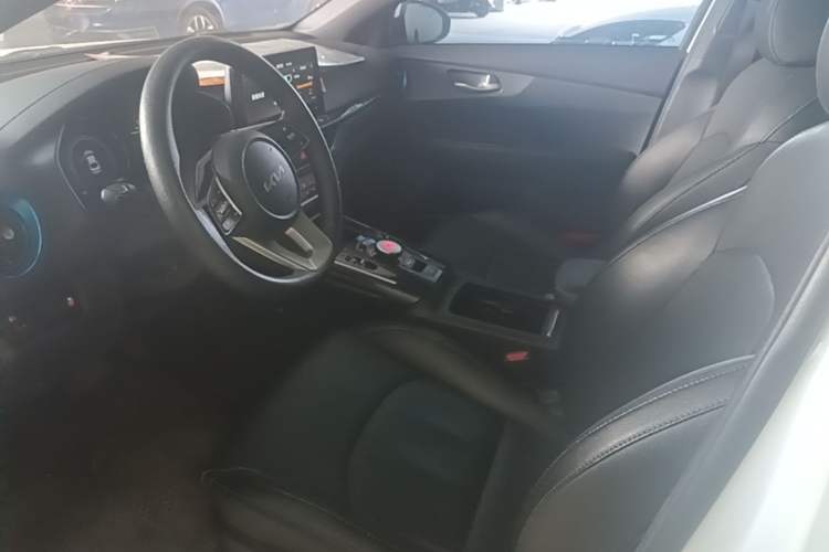 Used Kia K3 New Energy 2021 EV Comfort Edition 410km Left Front Seat
