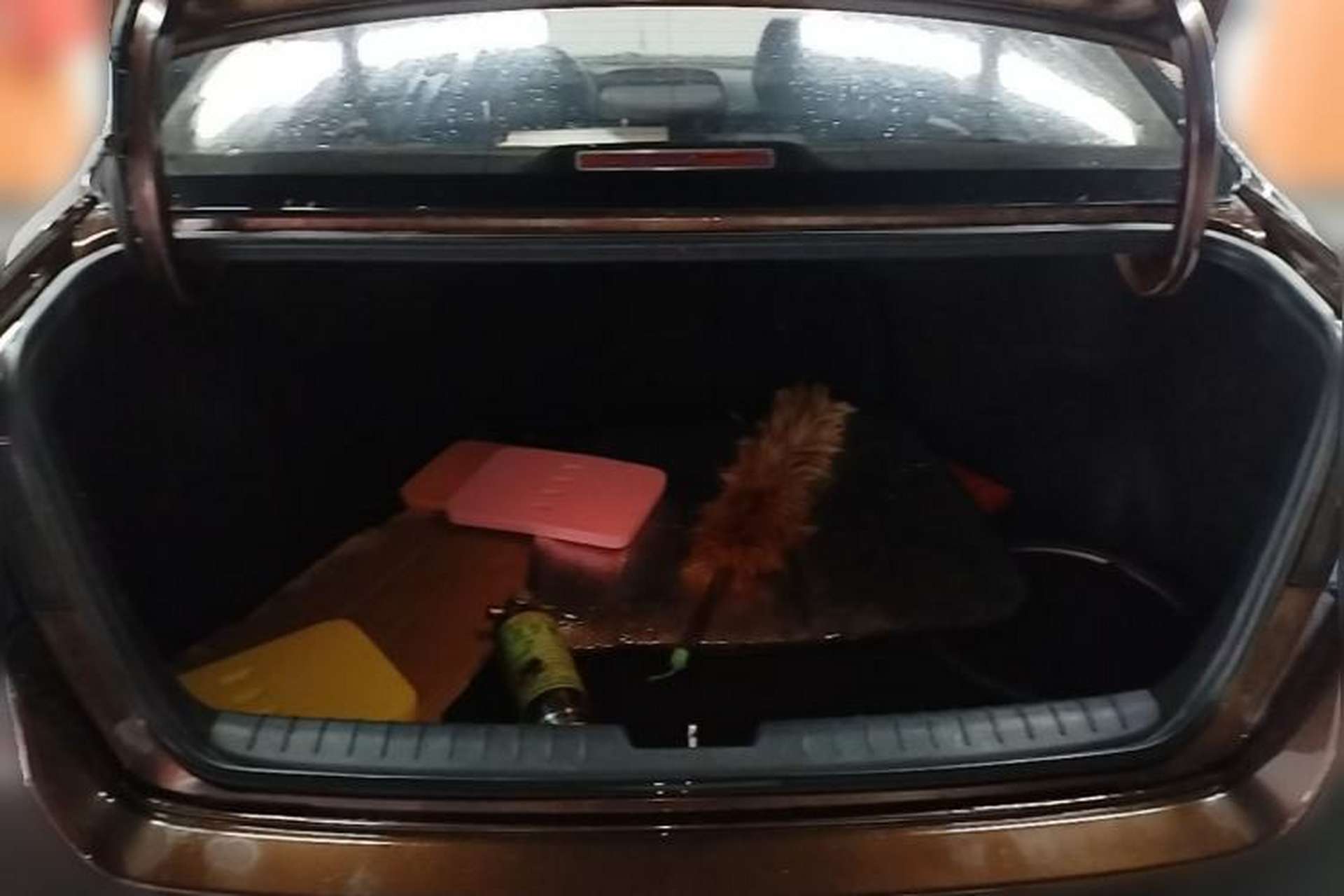 Used Kia K4 2014 1.8L Automatic DLX Trunk