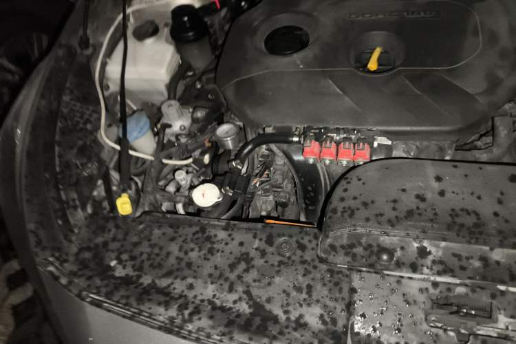 Used Kia K4 2015 1.8L Automatic GLS Special Engine Bay Right