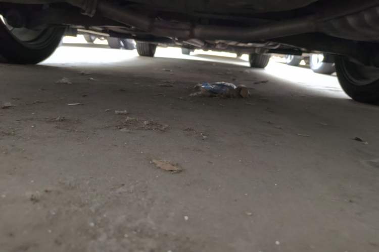 Used Kia K5 2012 2.0L Automatic DLX Chassis Rear