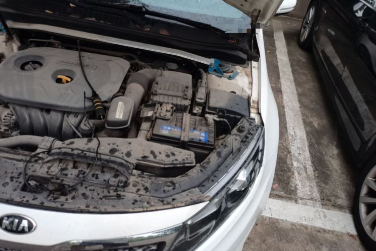 Used Kia K5 2012 2.0L Automatic DLX Engine Bay Left
