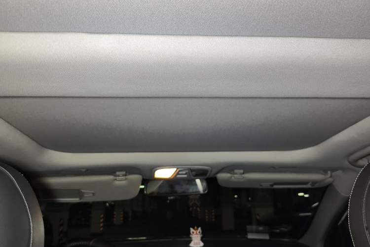 Used Kia K5 2012 2.0L Automatic DLX Headliner