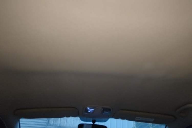 Used Kia K5 2014 2.0L Automatic GL Headliner