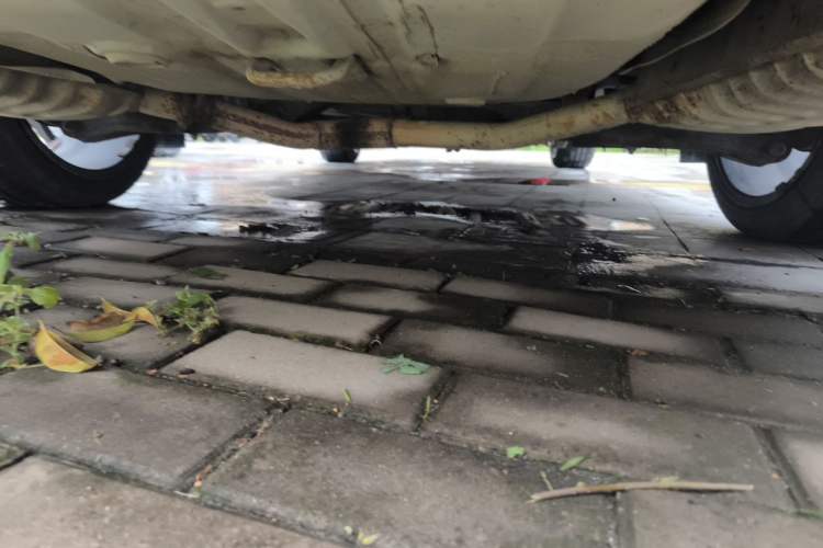 Used Kia K5 2014 2.0L Manual GL Chassis Rear