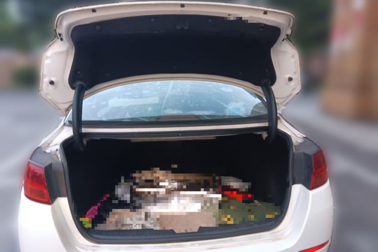 Used Kia K5 2014 2.0L Automatic LUXURY Trunk