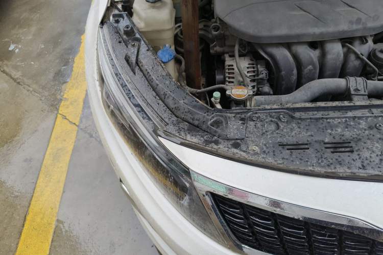 Used Kia K5 2015 2.0L Automatic LUX Engine Bay Right