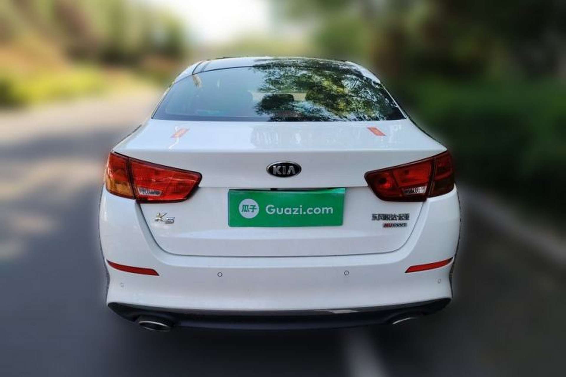 Used Kia K5 2015 2.0L Automatic LUX Rear
