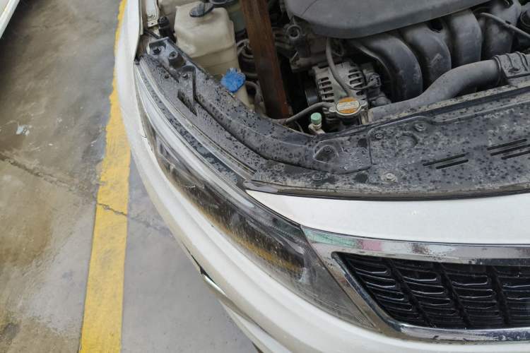 Used Kia K5 2015 2.0L Automatic LUX Right Front Headlight