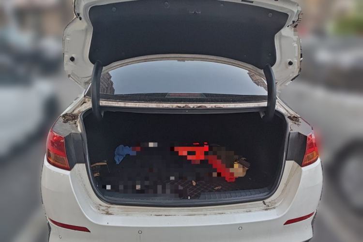 Used Kia K5 2015 2.0L Automatic LUX Trunk
