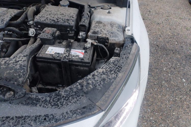Used Kia K5 2016 1.6T Automatic LUX Engine Bay Left