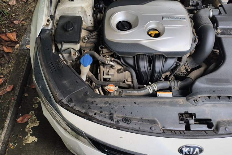 Used Kia K5 2016 2.0L Hybrid GLS Engine Bay Right