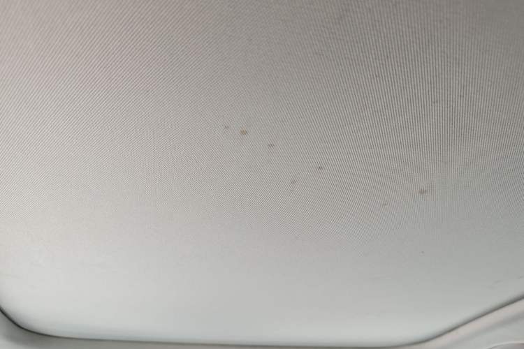 Used Kia K5 2016 2.0L Automatic LUX Headliner