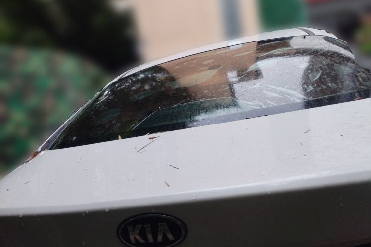 Used Kia K5 2016 2.0L Automatic GL Rear