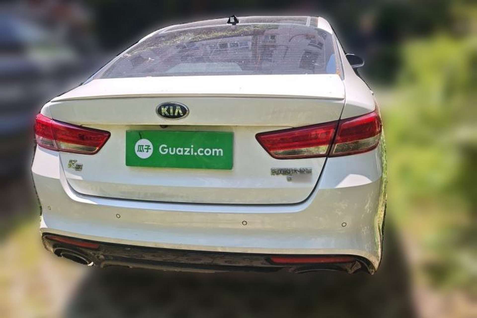 Used Kia K5 2016 1.6T Automatic LUX Rear