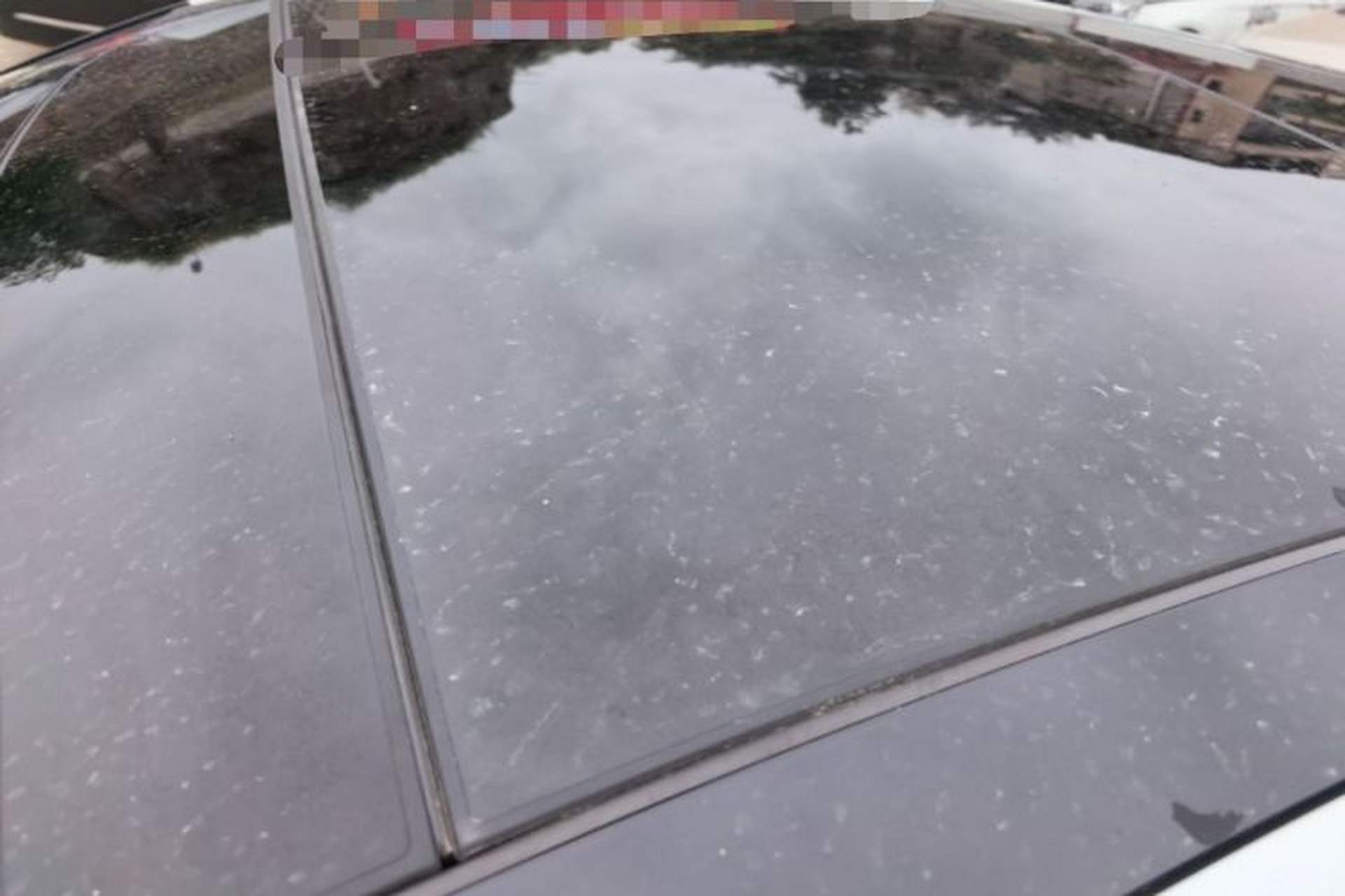Used Kia K5 2016 1.6T Automatic LUX Roof