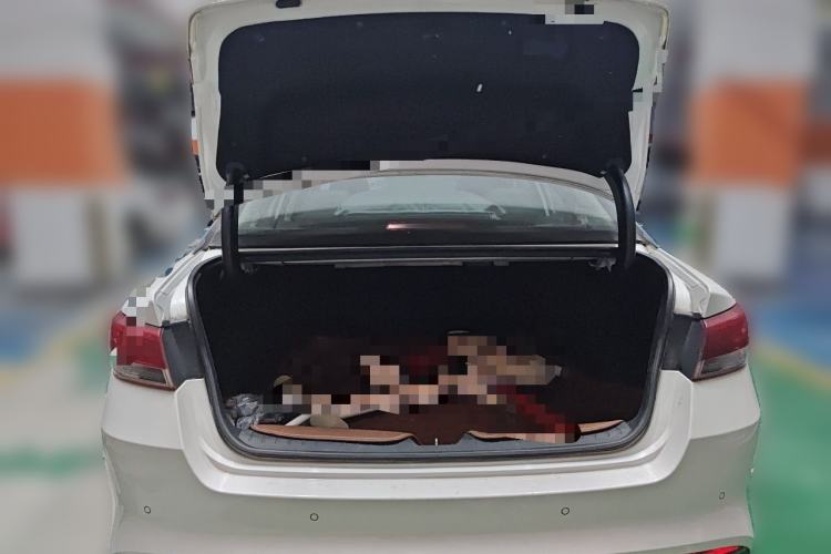 Used Kia K5 2016 2.0L Automatic LUX Trunk