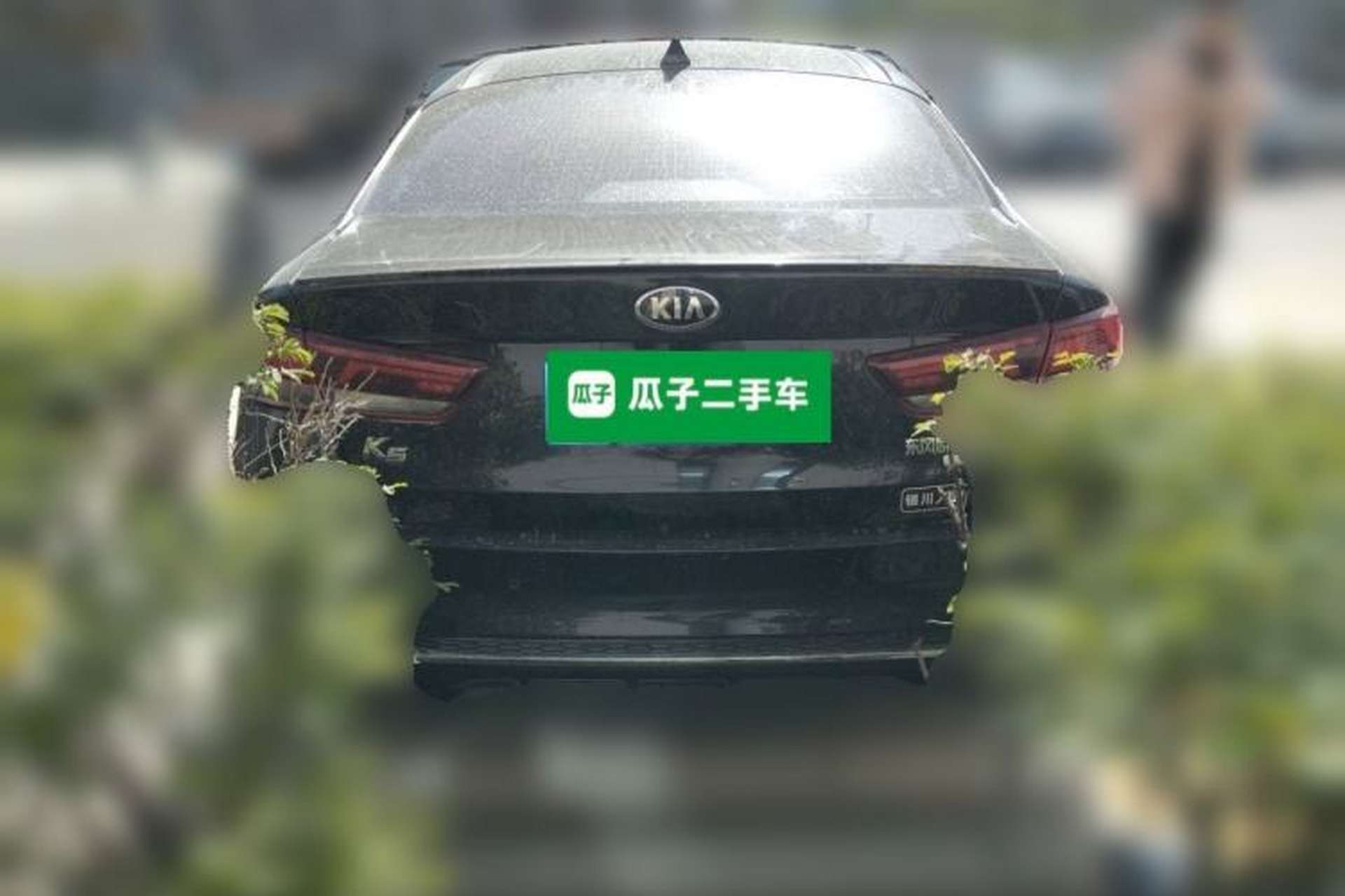 Used Kia K5 2019 Pro 1.6T Automatic Luxury Edition China VI Standard Rear