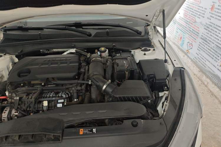 Used Kia K5 2020 380T GT-Line Flagship Edition Engine Bay Left