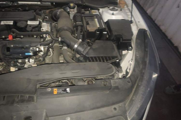 Used Kia K5 2020 270T CVVD Luxury Tech Edition Engine Bay Left