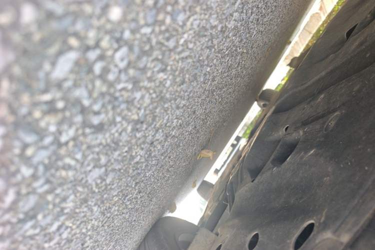 Used Kia K5 2021 270T CVVD Fashion Edition Chassis Rear