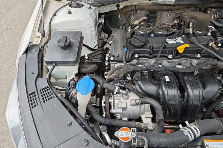 Used Kia K5 New Energy 2018 2.0L Smart Enjoyment Version Engine Bay Right