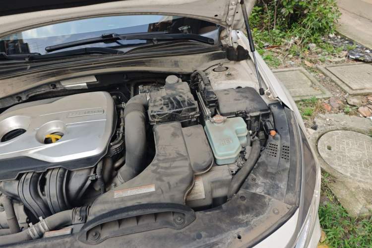 Used Kia K5 New Energy 2019 2.0L GLS Engine Bay Left