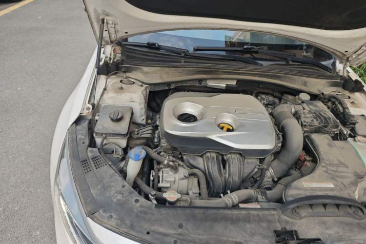 Used Kia K5 New Energy 2019 2.0L GLS Engine Bay Right