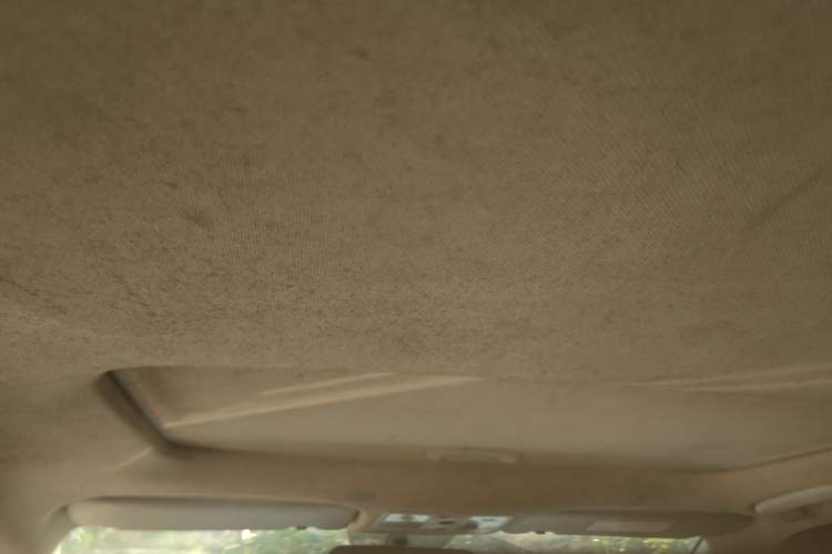 Used Kia KX Cross 2017 1.4L AT GLS Headliner