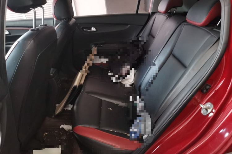 Used Kia KX Cross 2017 1.4L AT GLS Left Rear Seat
