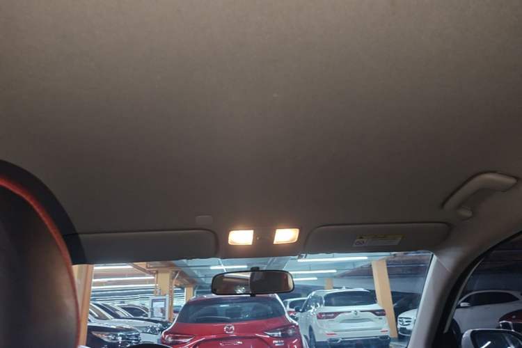Used Kia KX Cross 2017 1.4L AT GLS Headliner