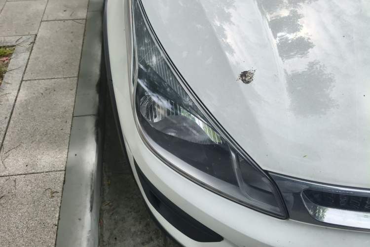 Used Kia KX Cross 2017 1.4L AT GLS Right Front Headlight