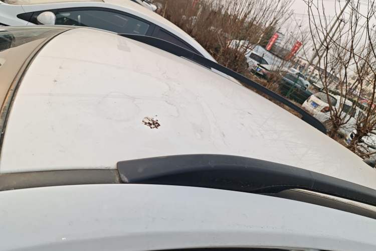 Used Kia KX Cross 2017 1.4L AT GLS Roof