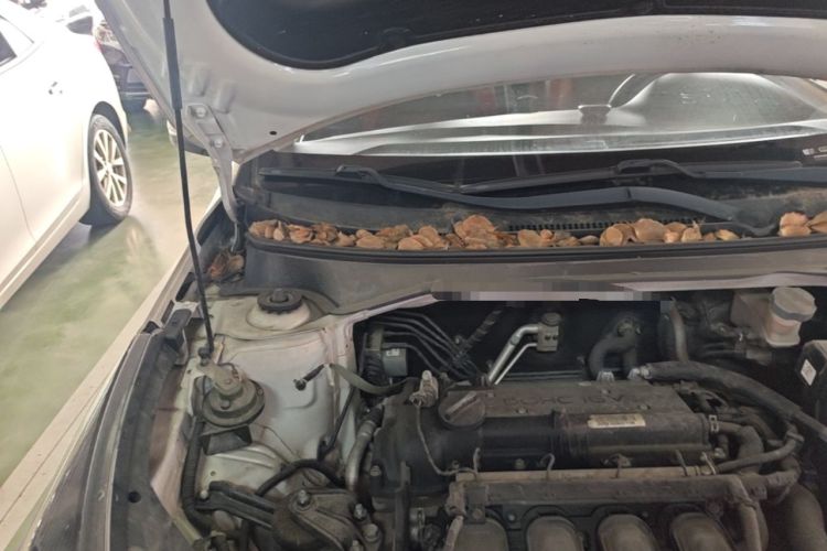 Used Kia KX Cross 2018 1.6L Automatic Dynamic Sunroof Version Engine Bay Right