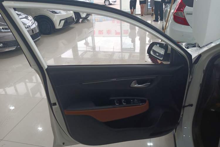 Used Kia KX Cross 2018 1.6L Automatic Dynamic Sunroof Version Left Front Door Interior