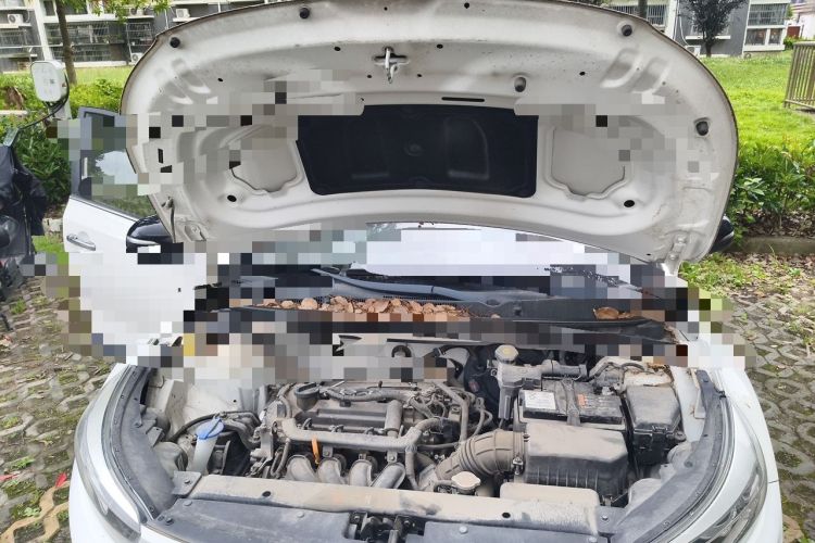 Used Kia kx1 Stonic 2019 1.4L Automatic Fun Edition China VI Engine Bay