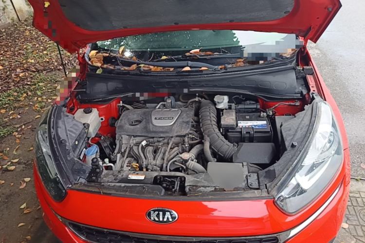 Used Kia KX3 2015 1.6T Automatic Two-Wheel Drive DLX Engine Bay