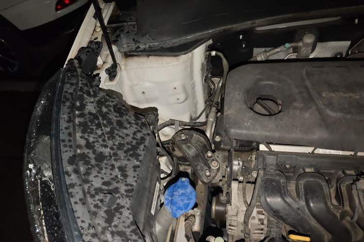 Used Kia KX3 2015 1.6L Automatic Two-Wheel Drive DLX Engine Bay Right