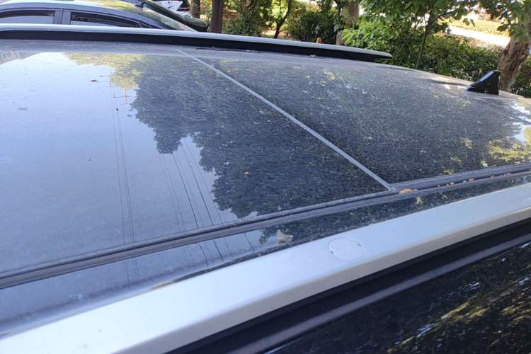 Used Kia KX3 2021 1.5L CVT Trend Edition Roof