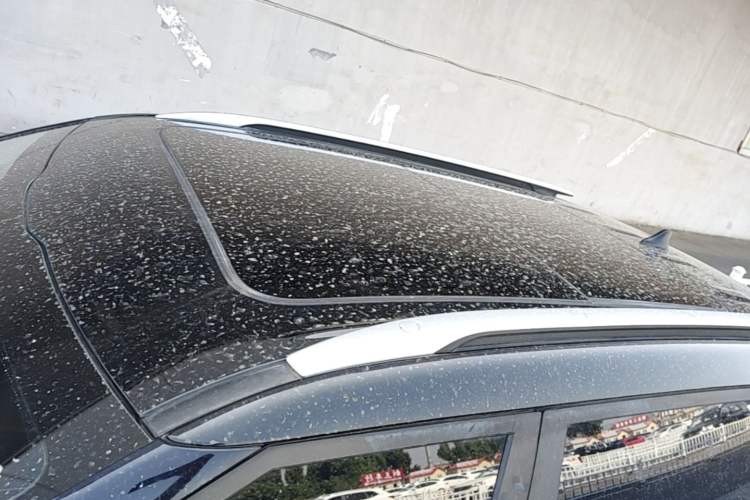 Used Kia KX3 2021 1.5L CVT Trend Edition Roof