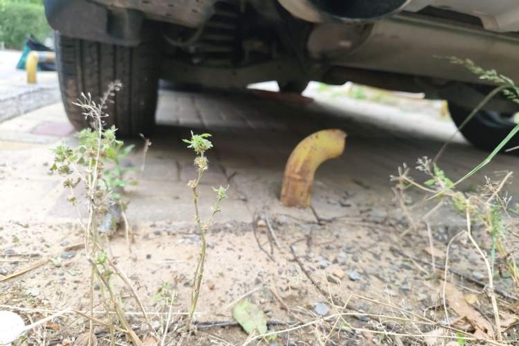 Used Kia KX5 2016 1.6T Automatic Two-Wheel Drive DLX Chassis Rear Left