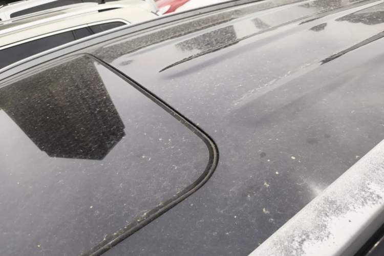 Used Kia KX5 2016 2.0L Automatic 2WD GLS Roof