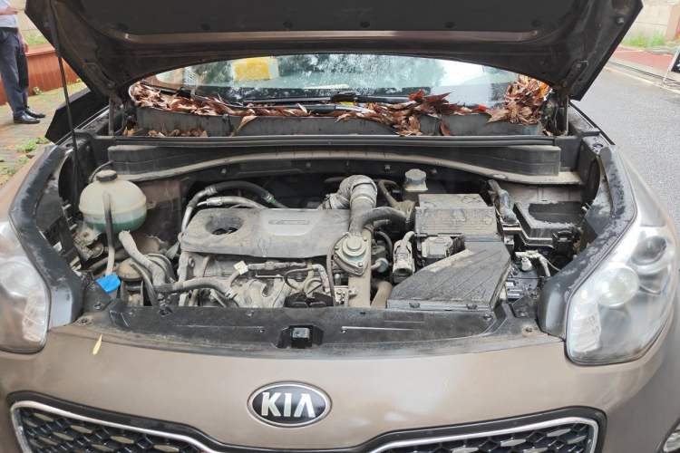 Used Kia KX5 2016 1.6T Automatic Two-Wheel Drive DLX Engine Bay