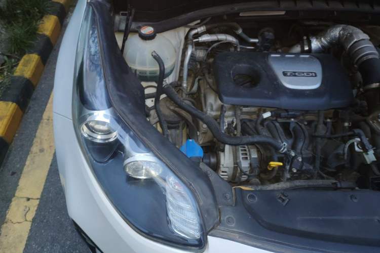 Used Kia KX5 2016 1.6T Automatic Two-Wheel Drive Premium Engine Bay Right